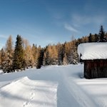 Die malerischen Lärchenwiesen der Armentara