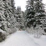 Auf dem Weg zur Geisleralm