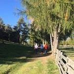 Familienwanderung auf dem Salten