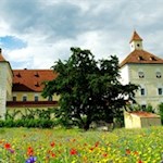 Hofburg und Brixner Dom