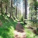 Wanderung zur Hühnerspielhütte