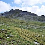 "Stille ist das Element, in dem sich Großes formt" (Thomas Carlyle)