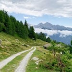 Die Weizgruberalm kann auch auf breitem Wege aufgesucht werden
