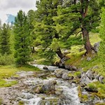 La malga di Fanes è attraversata da gorgoglianti corsi d'acqua