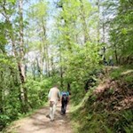 Sanfte Wanderung um Meran
