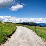Sanft steigt der breite Wanderweg Nr. 7 zur Almrosenhütte an
