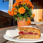 Buchweizentorte in der Almhütte Sot Pütia