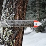 Nahe der Ackerboden Alm zweigt der Weg Nr. 6 zur Ochsenalm ab