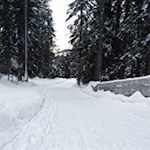 Abfahrt auf der Haunold Rodelbahn