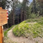 Schließlich zweigt der Rundwanderweg vom breiten Wanderweg ab