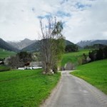 Am Südrand Terentens