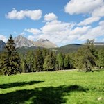 Unterhalb der Wurzer Alm entfalten sich schöne Ausblicke auf den Ifinger und Meran 2000