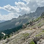 Rückwärtsgewandter Blick auf den Anstiegsweg zur Vajolethütte