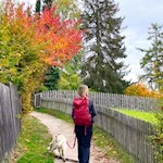 Hiking with dog from Soprabolzano to Saint Mary Assumption