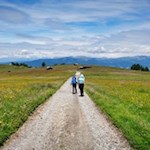 Die Wanderung zur Spitzbühlhütte führt durch eine malerische Naturlandschaft