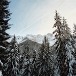 Zwischen den Baumwipfeln lassen sich immer wieder Blicke auf die schneebedeckten Dolomiten erhaschen