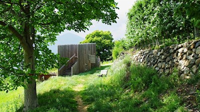 Seit der Römerzeit werden auf den Hängen um Brixen Obst und Wein angebaut