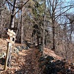 Hinter dem Lajener Ried führt der Wanderweg durch das raschelnde Laub nach Lajen