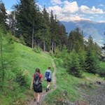 Abstieg vom Scheibenberg