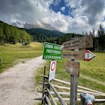 Vor der Kulisse des Latemar zur Epircher Laner Alm