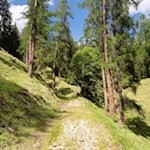 Auf dem Weg Nr. 7 zurück nach St. Zyprian