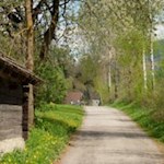 Auf dem Weg Nr. 9 in Richtung Mühlbachmoos