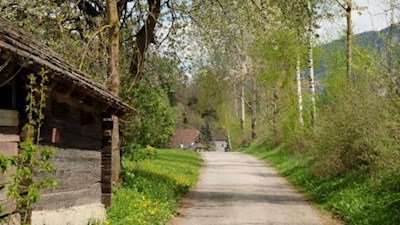 Auf dem Weg Nr. 9 in Richtung Mühlbachmoos