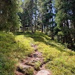 Der Rückweg von der Kerschbaumeralm erfolgt auf dem Hinweg