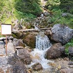 Die Baumannschwaige-Nigerquelle sorgt für erquickende Erfrischung