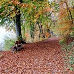 „Die Natur allein ist unendlich reich und sie allein bildet den großen Künstler.“ (J. W. von Goethe)