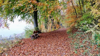 „Die Natur allein ist unendlich reich und sie allein bildet den großen Künstler.“ (J. W. von Goethe)