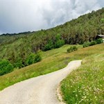 Der Schmetterlingsweg führt durch blumenfrohe Wiesen