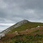 „Ausdauer wird früher oder später belohnt“ (Wilhelm Busch)