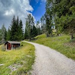 Im sanften Anstieg durch den Wald