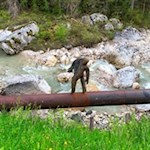 Kunst an den Ufern der Gader bei St. Kassian