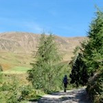 Auf dem Gsieser Almweg 2.000