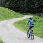 Serpentine an Serpentine zur Silvesteralm