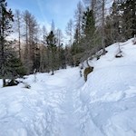 Durch lichten Wald und Wiesen zur Geisleralm