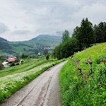 Ohne nennenswerte Höhenunterschiede führt der Weg Nr. 11 zurück nach Seis