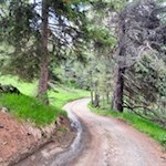 Im sanften Anstieg zum Lech Sant