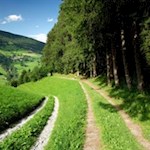 Der Rückweg führt durch sattgrüne Wiesen