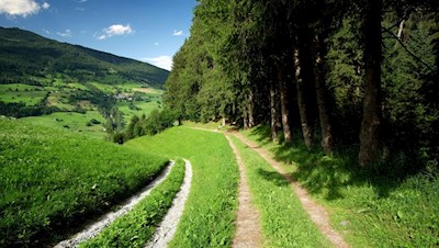 Der Rückweg führt durch sattgrüne Wiesen