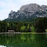 „Wie viel Schönheit empfängt das Herz durch das Auge!“ (Leonardo da Vinci)