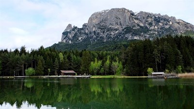 „Wie viel Schönheit empfängt das Herz durch das Auge!“ (Leonardo da Vinci)