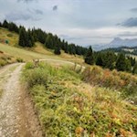 Durch malerische Bergwiesen hinab zur Incisa Lodge