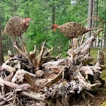 Vogelnest-auf-dem-LandArt-Weg