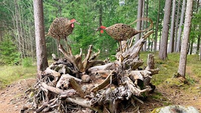 Vogelnest auf dem LandArt Weg
