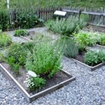 Kräutergarten neben der Riesa Alm