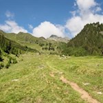 Die Wanderung auf die Hohe Kreuzspitze führt zunächst über steile Weidehänge