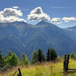 Unterhalb der Grente Alm lichtet sich der Weg allmählich